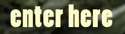 ENTER BrittanyOpperman.com